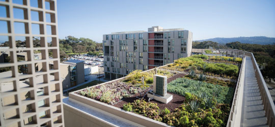 rooftop garden