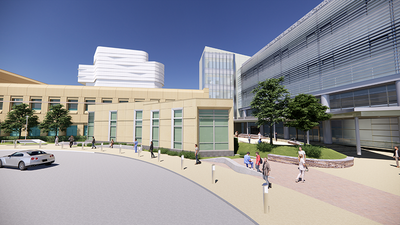 MRI Expansion rendering