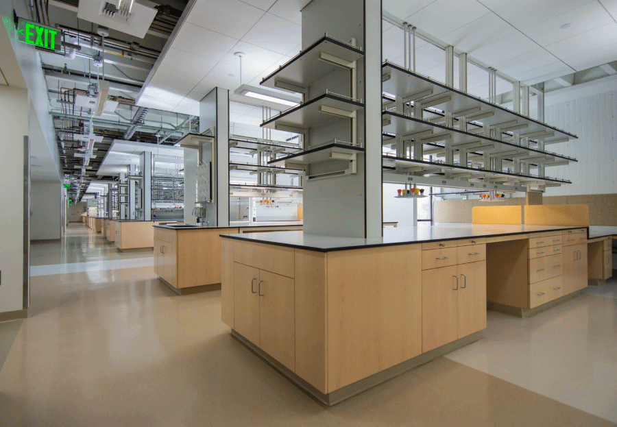 Muir Biology Building Lab